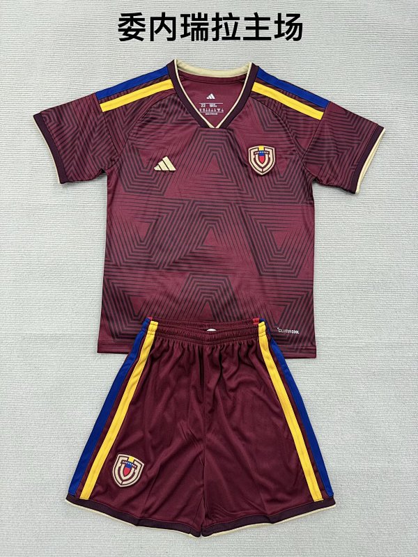 Niño_Adults And Youth Venezuela Home Soccer Uniform 26