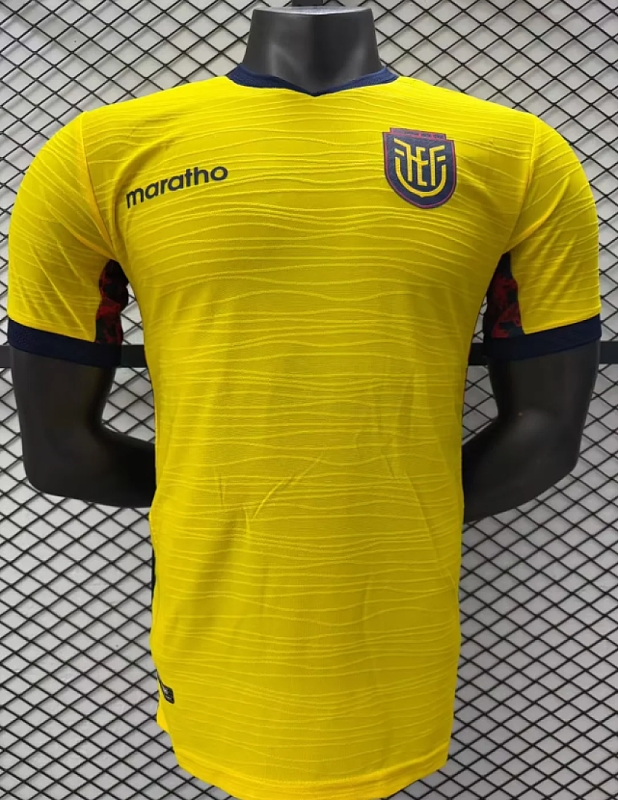 Version Player_ECUADOR PV Home soccer jerseys